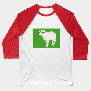 PLASTIC FANTASTIC: Sheep Baseball T-Shirt